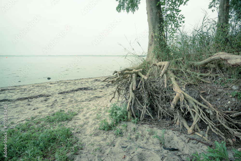 Küstenlandschaft in Wismar, Mecklenburg-Vorpommern Küstenlandschaft in Wismar, Mecklenburg-Vorpommern