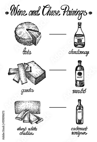 Wine and cheese pairings. Sketchy style. Hand drawn graphic illustration in vector. Ink drawing.