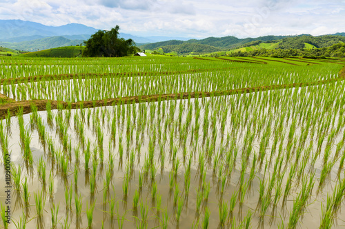 Foto "Baan Pa Pong Piang" located in Mae Jam, Chiangmai, Thailand thi