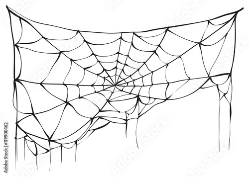 Torn spider web on white background