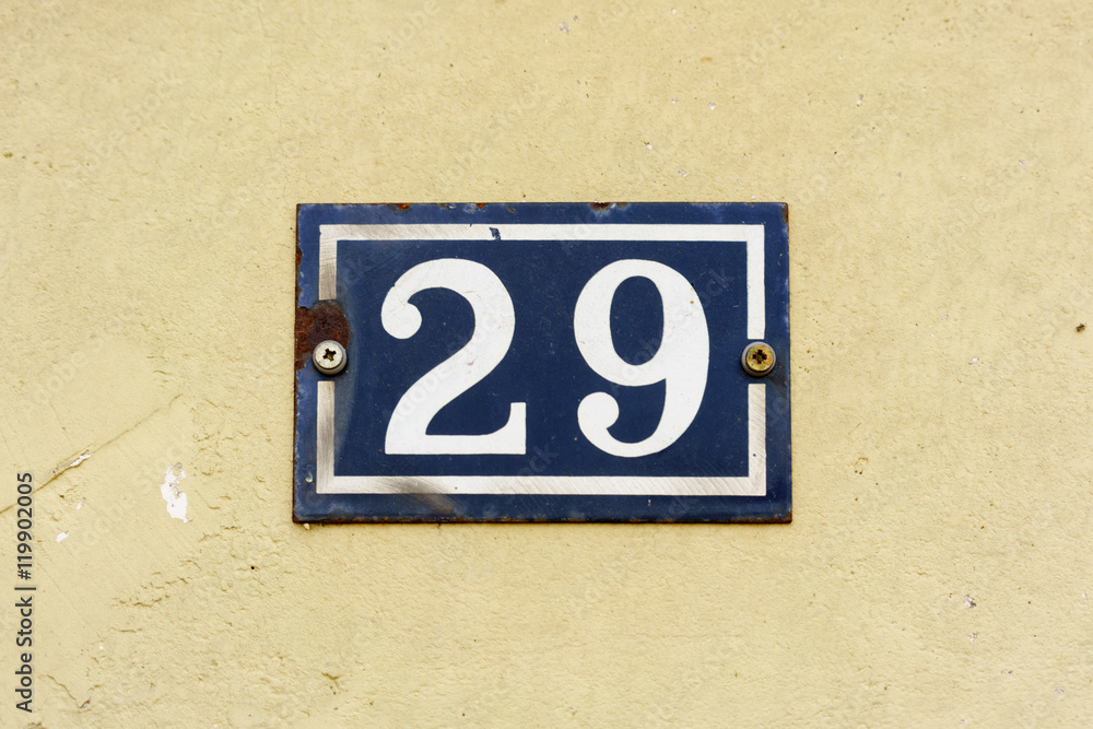 Number 29 Number 29