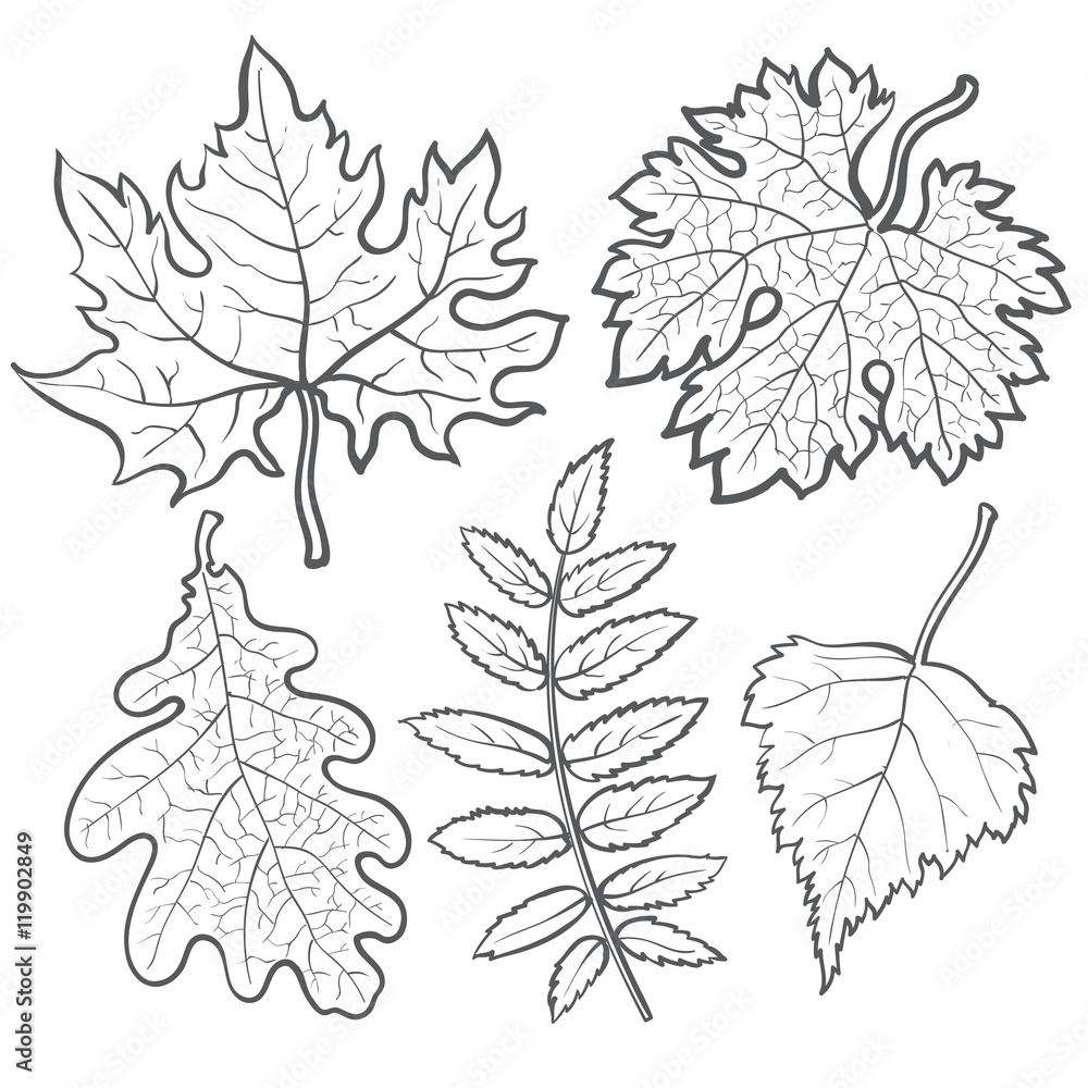 Drawing Fall season 164332 Nature  Printable coloring pages