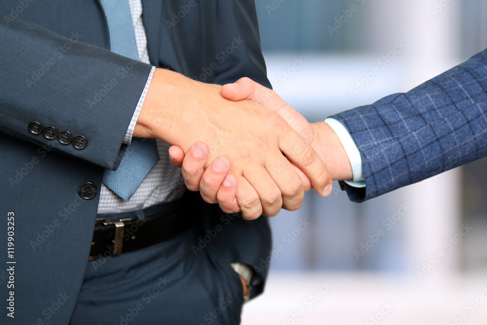 Successful business people shaking hands at the meeting Successful business people shaking hands at the meeting