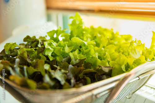 Fresh lettuce leaves in standless tray in kitchen(selective focus) photo