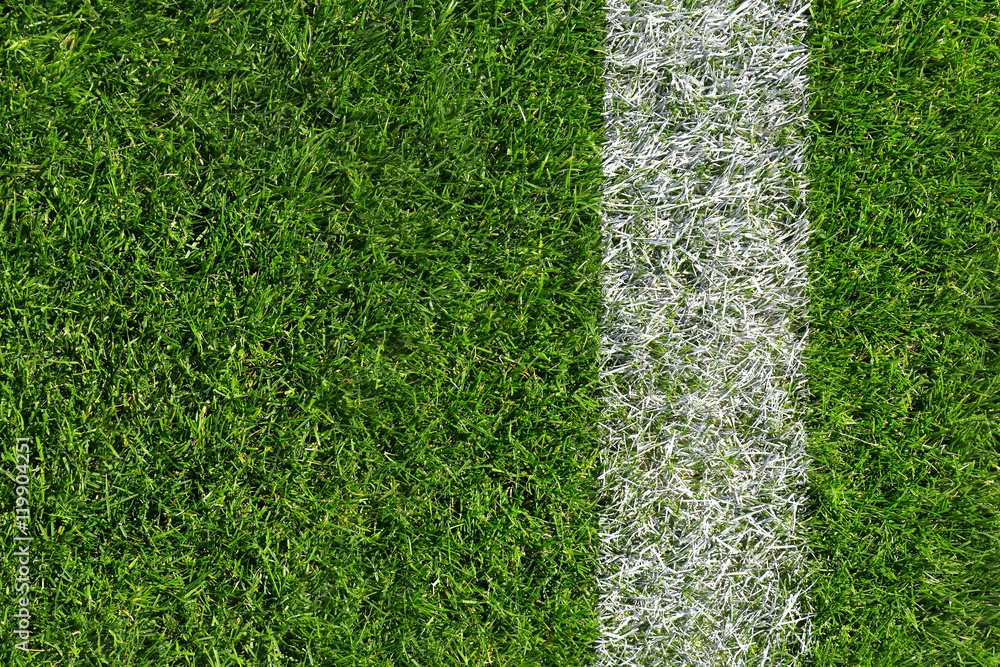 Naklejka premium Green field for sport games