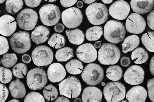 Black and white natural background of dry firewood logs in a pile