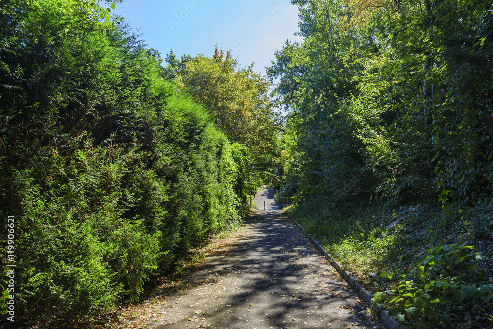 Obraz premium Rural pathway at Kalth of