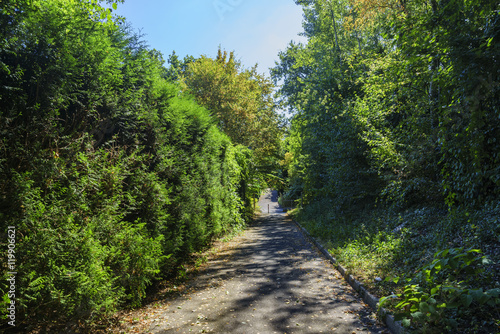 Rural pathway at Kalth of