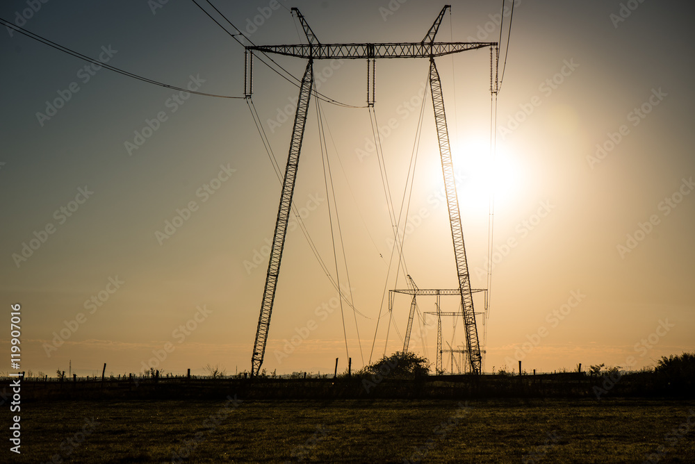 electricity line in sunny meadow