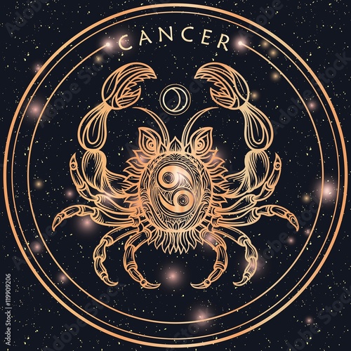 Hand drawn line art of zodiac cancer. Vector