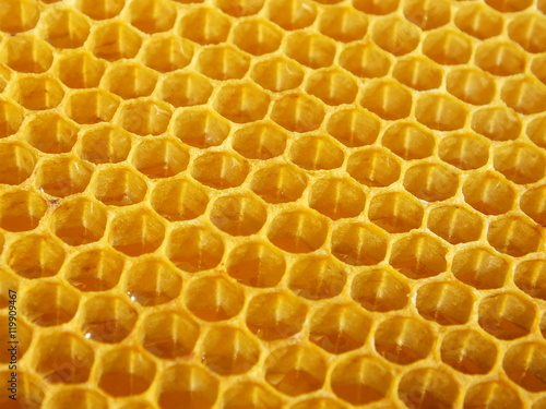 Golden sweet texture. Honeycomb with honey