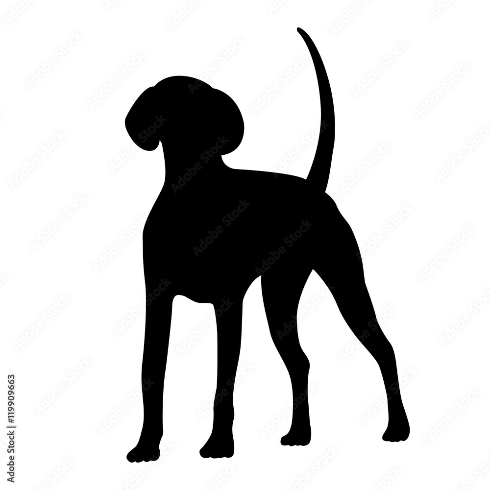 American hotsell foxhound black