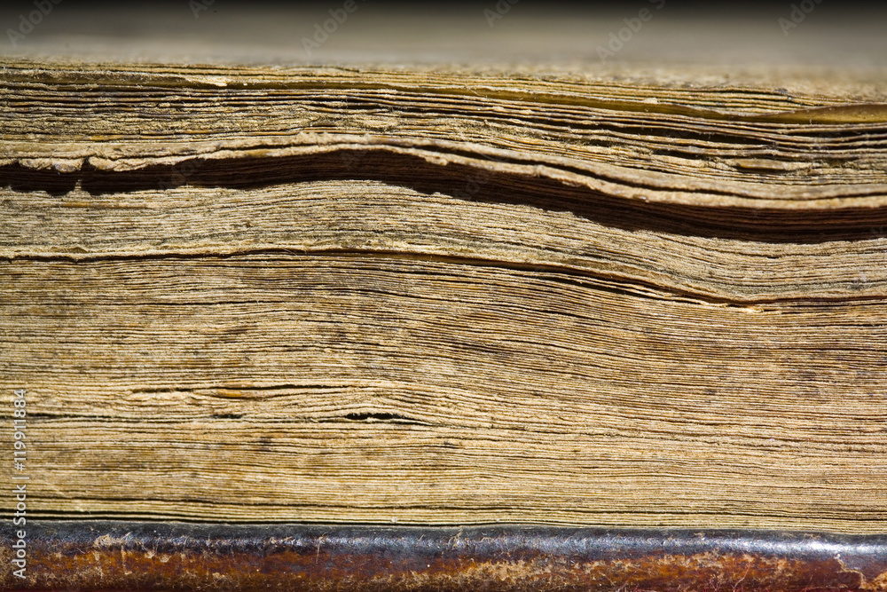 Fototapeta premium Pages in old book