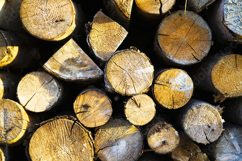 Firewood logs