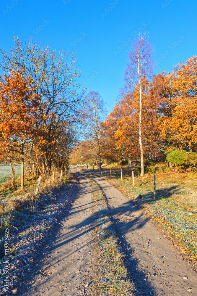 Dirt road