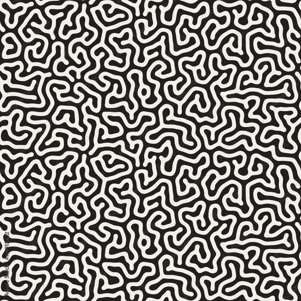 Vector Seamless Black and White Organic Lines Pattern