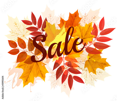 Autumn Sales banner with colorful leaves. Vector.