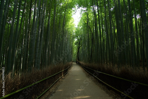 竹林の道