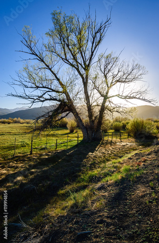 Stanislaus National Forest