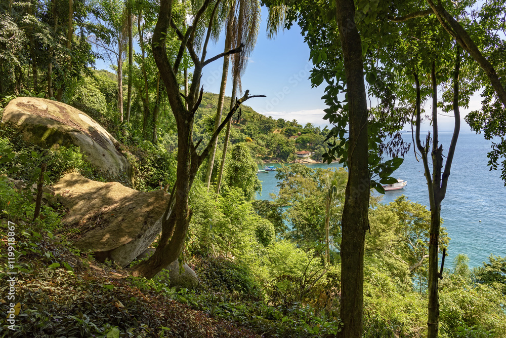 View of the sea through the branches and trees of the rainforest in the Green Coast of Rio de Janeiro