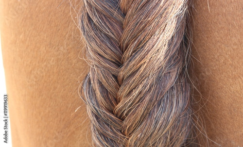 Horse with Braided Tail