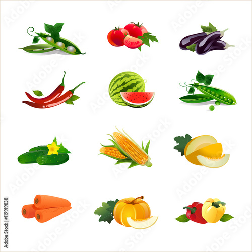 Fototapeta Naklejka Na Ścianę i Meble -  Vegetables on white background. Vector