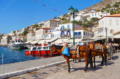 Mules Waiting for Tourists at the Port of Hydra Island in Greece photo