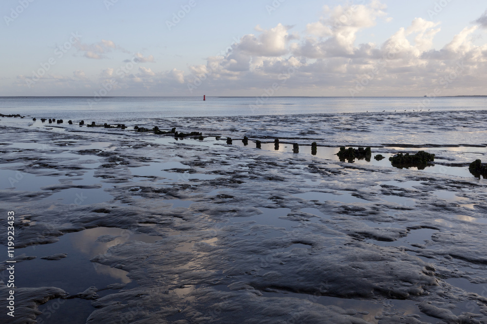 muddy shore of dutch waddenzee at low tide on Vlieland muddy shore of dutch waddenzee at low tide on Vlieland