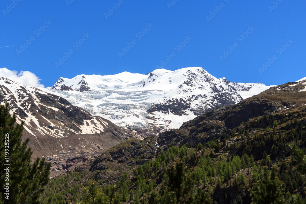 Forni glacier mountain panorama in Ortler Alps, Stelvio National Park, Italy Forni glacier mountain panorama in Ortler Alps, Stelvio National Park, Italy