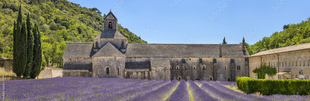 panorama of summer day in old church with lavender field