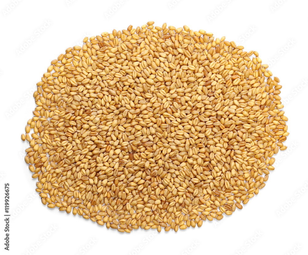 pile of wheat kernels isolated on white pile of wheat kernels isolated on white