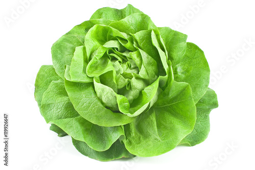 Fresh lettuce isolated on white  background