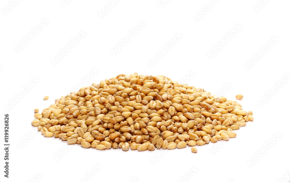 Fototapeta premium Wheat pile side view on white background