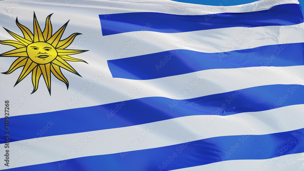 Fototapeta premium Uruguay flag waving against clean blue sky, close up, isolated with clipping path mask alpha channel transparency