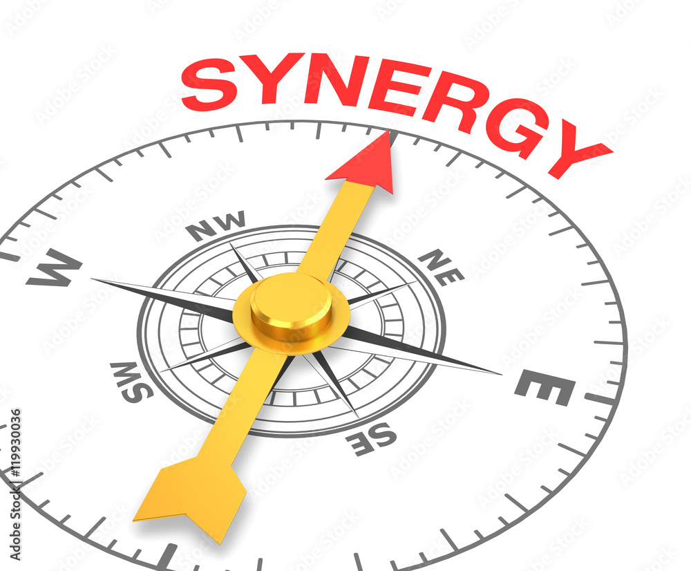 synergy synergy