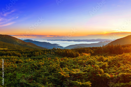 Picturesque sunrise morning in mountains above clouds  Carpathia