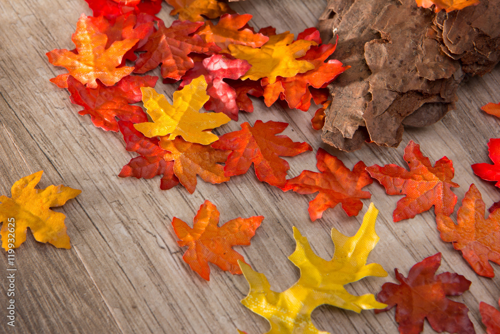 Bunte Herbstblätter Stock-Foto | Adobe Stock
