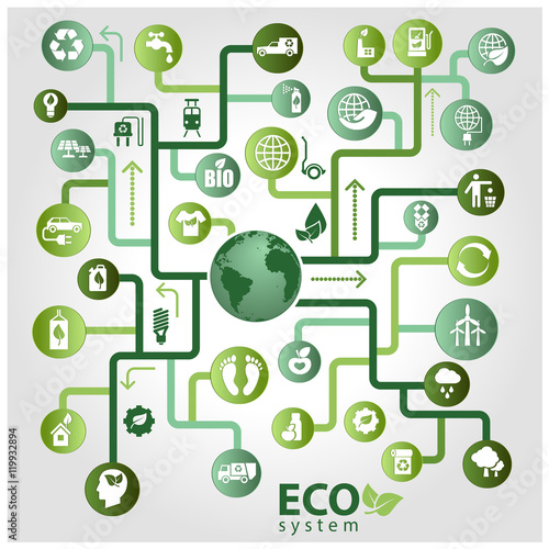 Vector ecological system