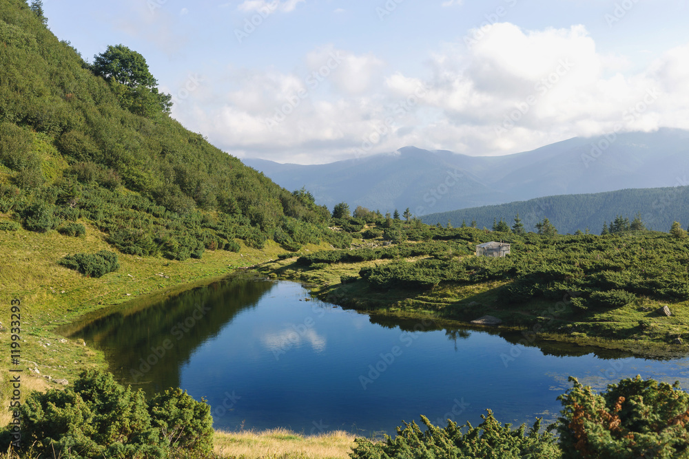 View of mountains lake and peaks, coniferous forest