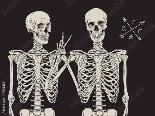 Human skeletons best friends posing isolated over black background vector