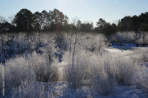 Зимняя река и лес 