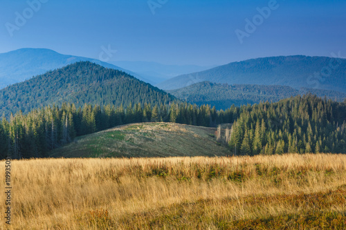 Beautiful mountain landscape. View on the wooded hills and peaks in the distance.