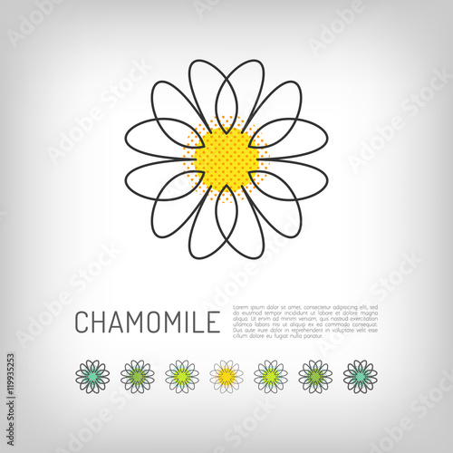 Chamomile thin line art icon, isolated daisy logo, abstract flower design. Simple floral. Modern minimal design flower, Vector illustration