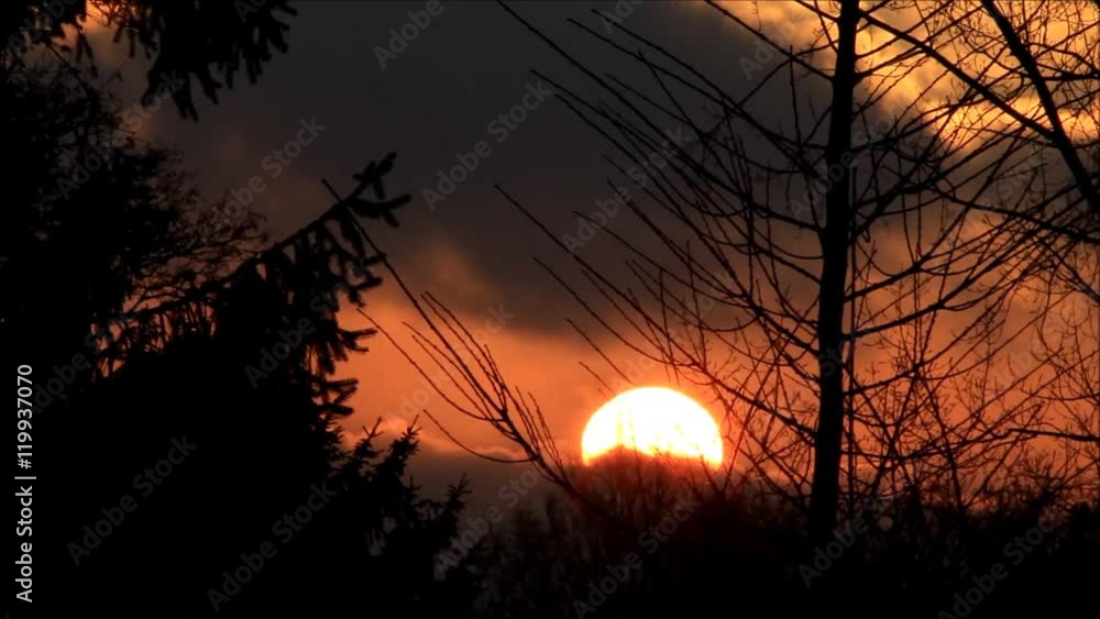 colorful sunset behind trees in the nature
colorful sunset behind trees in the nature
