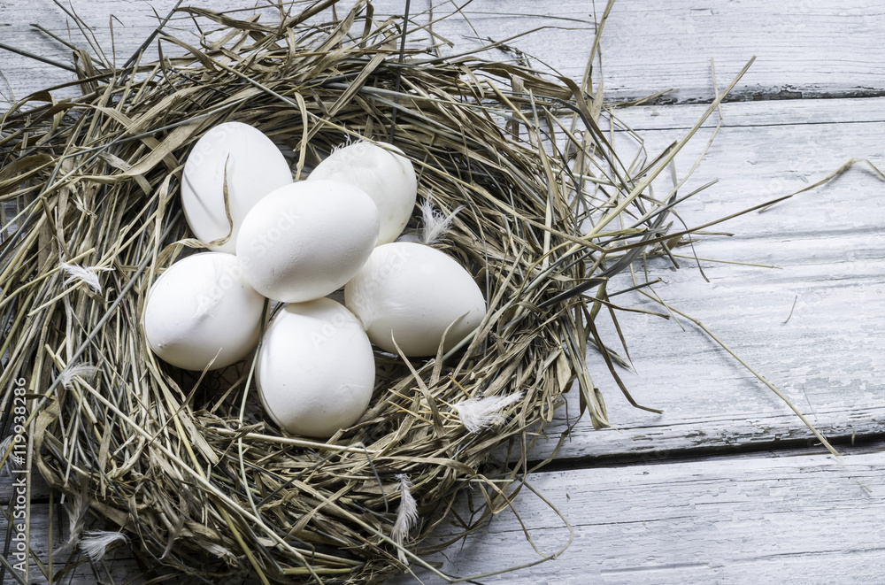 White chicken eggs in straw nest White chicken eggs in straw nest