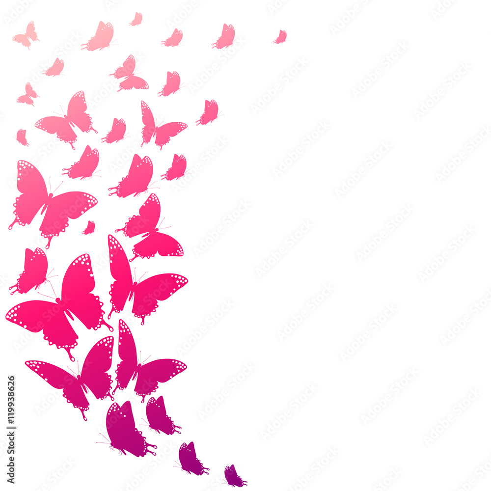 Fototapeta premium color butterflies,isolated on a white