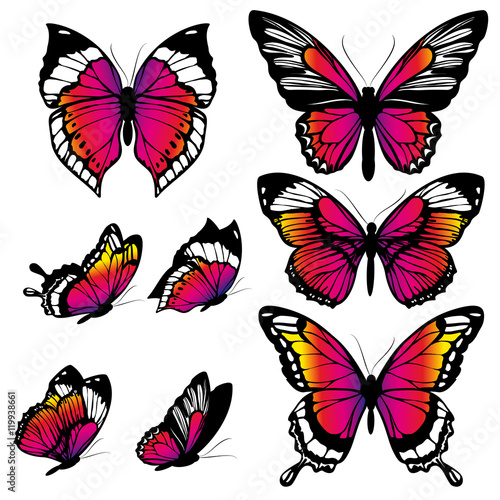 color butterflies,isolated on a white © aboard