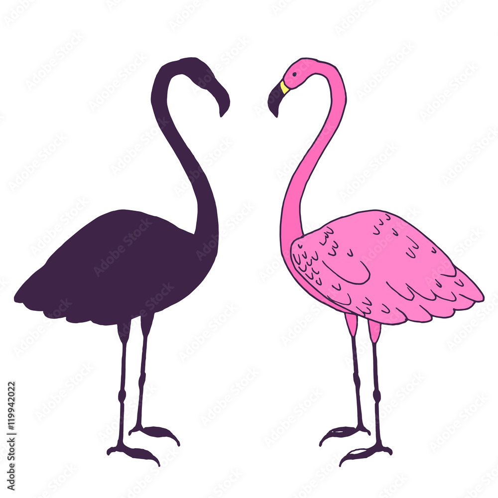 Fototapeta premium Flamingo bird vector illustration. Beautiful pink animal silhouette hand drawn sketch
