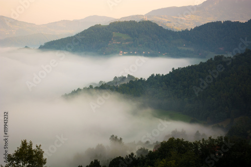 Foggy morning in national park Tara