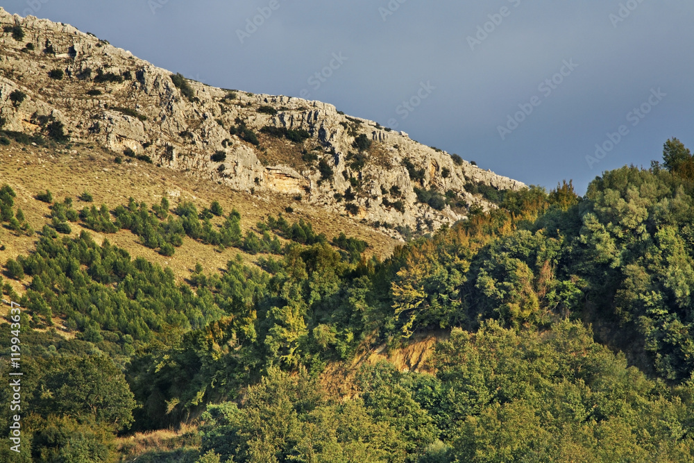  Landscape near Elea village. Greece